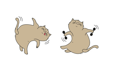  A set of cartoon cats.  Sports and pets. Fat happy cats doing gymnastics. Cat with dumbbells, working out.  Caraculi. Vector illustration. Background isolated.