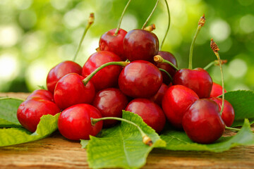 Cherries on leaves.