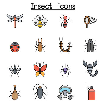 Insect and bug color line icon set