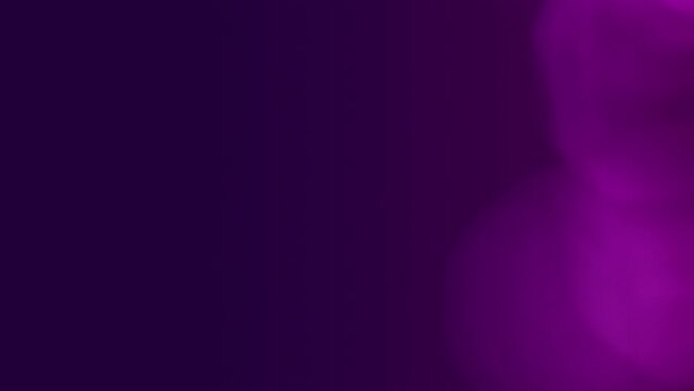 Abstract purple magenta and pink bokeh loop background effect overlay. Soft toned vibrant defocused decor template copy space backplate. Macro close-up glow effect product showcase backdrop animation.