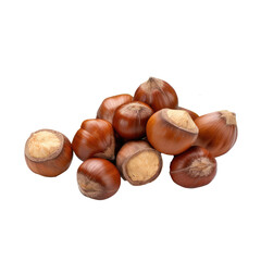 hazelnuts isolated on white