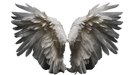 Fototapeta premium White wings with feathers isolated on transparent background. Angel/bird style Generative AI 