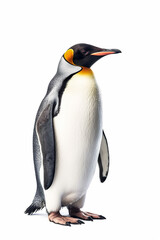 A photo of a penguin on a white background