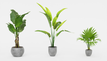 Fototapeta na wymiar Beautiful plants in ceramic pots isolated on transparent background. 3D rendering