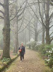 Frau mit Handtasche spaziert durch eine mystisch von Nebel durchzogene Zedern Allee im Parque das Queimadas auf Madeira, Portugal