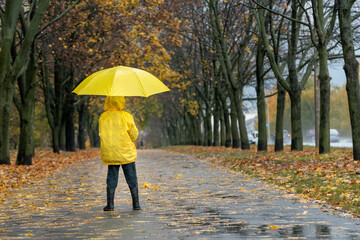 Back view on little child in rainy park with an yellow umbrella in hands. Autumn weather
