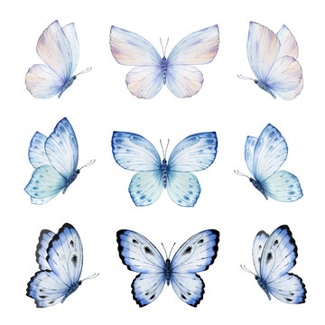 Watercolor set of bright blue hand painted butterflies. Design for the decoration of postcards, invitations, greeting cards, birthday, souvenirs, weddings.
