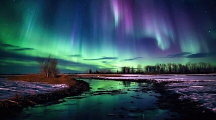 Painting the Night Sky: Captivating Beauty of the Aurora Light