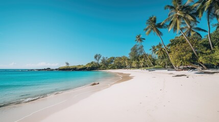 Fototapeta na wymiar a beach with white sand, cerulean water, and palm trees