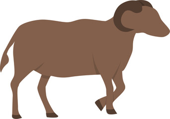 Illustration of sheep 