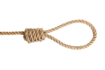 Rope noose isolated on white, a loop of rope for hanging