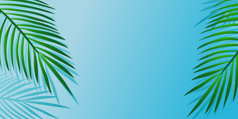 Fototapeta na wymiar Blue gradient background with palm leaves and shadows