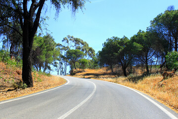 Fototapeta na wymiar Road in Portugal/Algarve