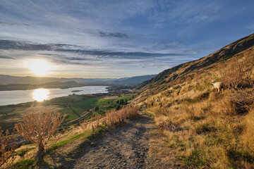 Hiking up Roys Peak with sun rising above Wanaka town