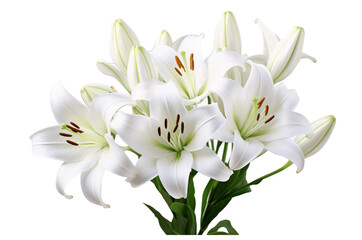 Fototapeta na wymiar bouquet of white lilies