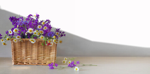 Wooden basket with blooming chamomile flowers and violet wildflowers. Flowering field daisies in basket with copy space for carefree lifestyle summertime.