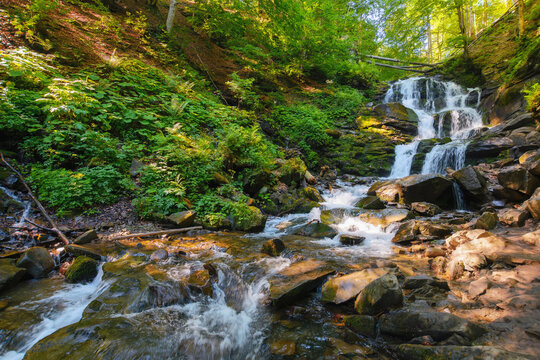 waterfall in the beech forest. nature background on sunny summer morning