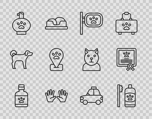 Set line Dog medicine bottle, Dental hygiene for pets, Pet grooming, Medical rubber gloves, shampoo, Location, car taxi and Certificate dog icon. Vector
