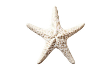 White Starfish Isolated on Transparent Background, Generative Ai