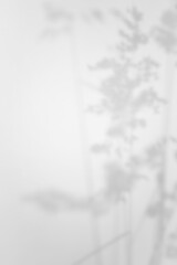 blurry floral shadow overlay