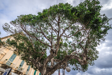 Pancali Square on Ortygia island, Syracuse city, Sicily Island, Italy