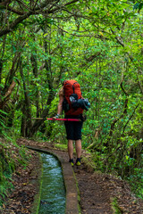 Portugal- Madeira- Ribeiro Frio- Female backpacker hiking along Levada do Furado in Madeira Natural Park