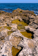 Flat rocky shore with many littoral puddles rich in life, in the eastern Crimea, Black Sea