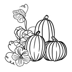 Hand drawn pumpkin with flower and leaf 