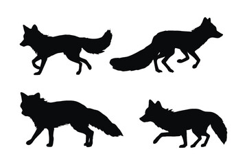 Foxes walking different positions, silhouette set vector. Adult fox silhouette collection on a white background. Carnivore animals like foxes, jackals, and varmints full body silhouette bundles.