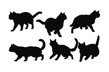 Cats walking in different positions, silhouette set vector. Adult cat silhouette collection on a white background. Beautiful domestic animals like felines and cats full body silhouette bundles.