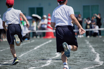 Fototapeta premium 小学校の運動会で短距離走をしている学生達の後ろ姿