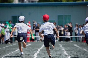 Fototapeta premium 小学校の運動会で短距離走をしている学生達の後ろ姿