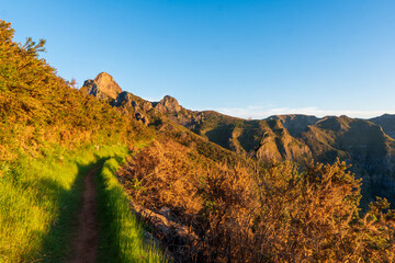 View with amazing madeira mountains covered yellow grass, beautiful path, green trees, blue sky with sun and clouds in portugal at sunset. Mountain canyon. Travel in madeira.Landscape