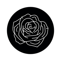 Rose flower black line