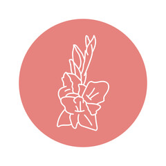 Gladiolus flower black line