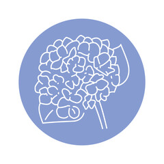 Hortensia Hydrangea flowers black line