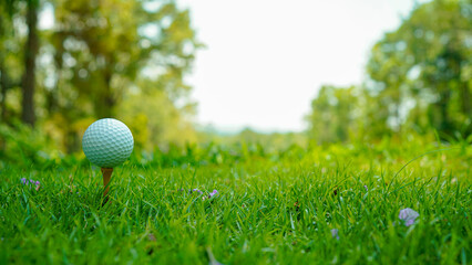 Golf ball on green grass in the evening golf course with sunshine background.