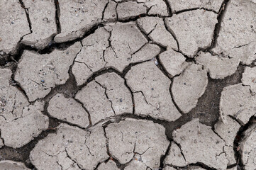 Ground cracked by hot weather. Global warming and drought concept. Natural background with copy space.