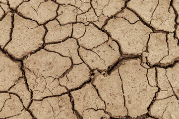 Ground cracked by hot weather. Global warming and drought concept. Natural background with copy space.