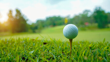 Golf ball on green grass in the evening golf course with sunshine background.