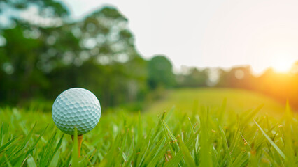 Golf ball on green grass in the evening golf course with sunshine background.