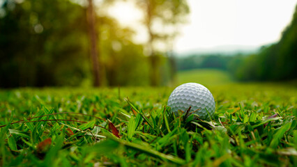 Golf ball on green grass in the evening golf course with sunshine background.