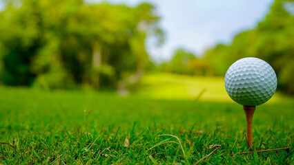 Golf ball on green grass in the evening golf course with sunshine background.