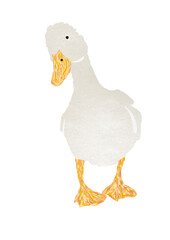 Illustration d&rsquo;une oie blanche et jaune, con&ccedil;u avec hachures de couleur pour le bec et les pattes. &Eacute;l&eacute;ment isol&eacute;