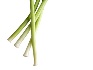 leek isolated on white