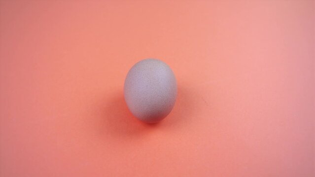 fresh chicken egg lies on bright pink surface closeup