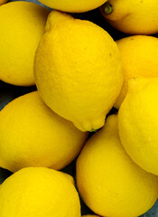 whole yellow lemons isolated on bright background. Lemons citrus fruit, healthy, summer. Copy space