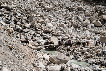 trekking route and the trekker