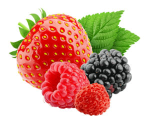 wild Berries mix, strawberry, raspberry, blackberry, wild strawberry, isolated on white background, full depth of field