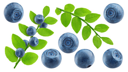 blueberry, isolated on white background, full depth of field